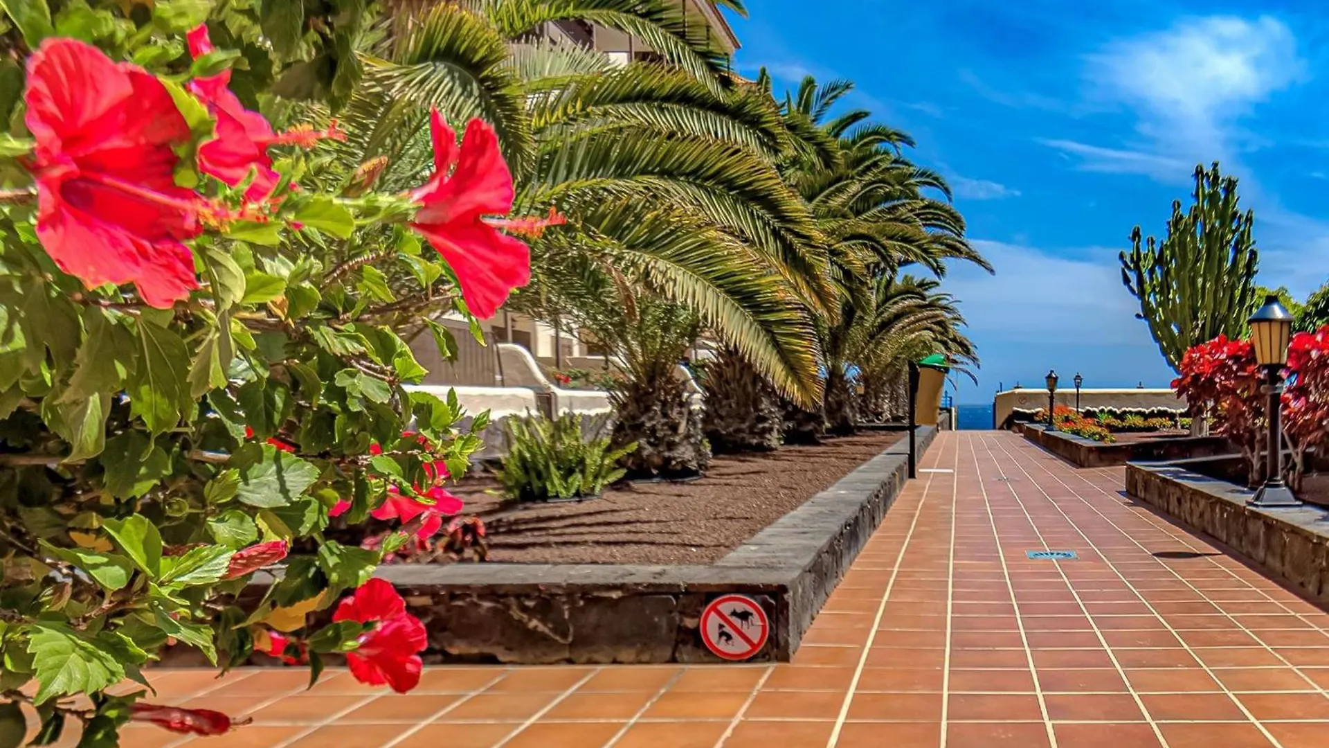 דירה קוסטה דל סילנסיו Atlantis 3 One Bedroom, Sea Front ספרד